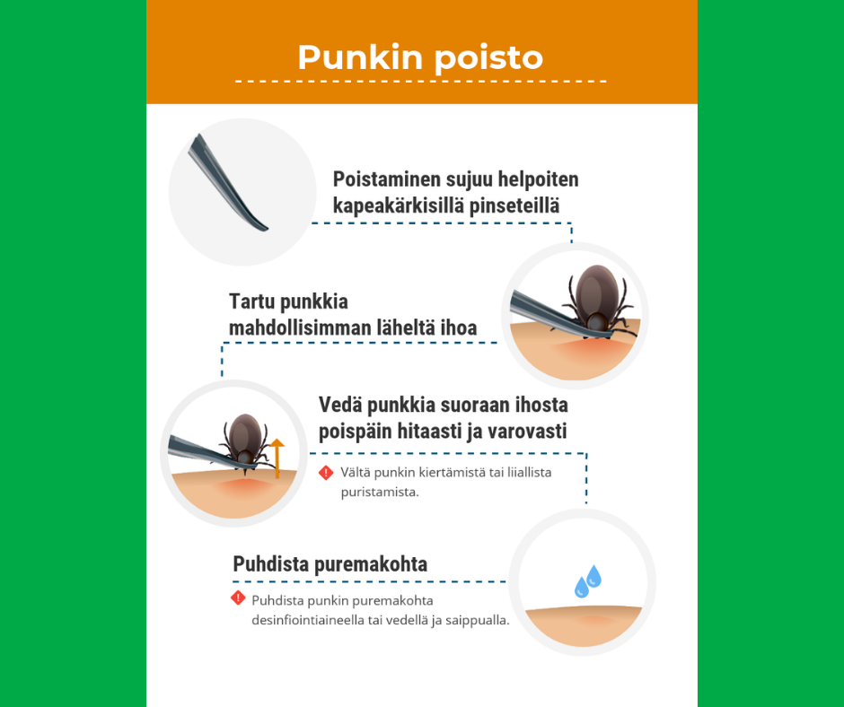 Apteekin esittelykuva